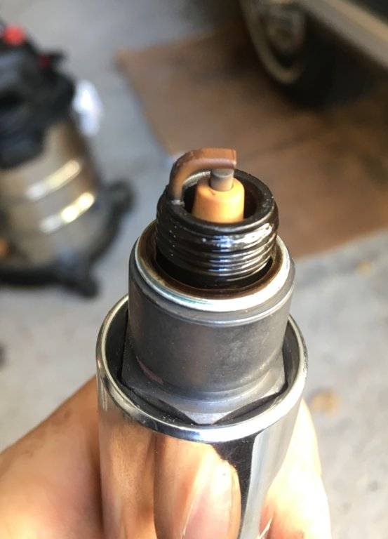 Reading my spark plugs; Fuel? Oil? Valve Seals? Carb leaking? For C