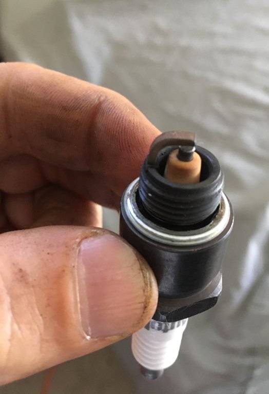 Reading my spark plugs; Fuel? Oil? Valve Seals? Carb leaking? For C