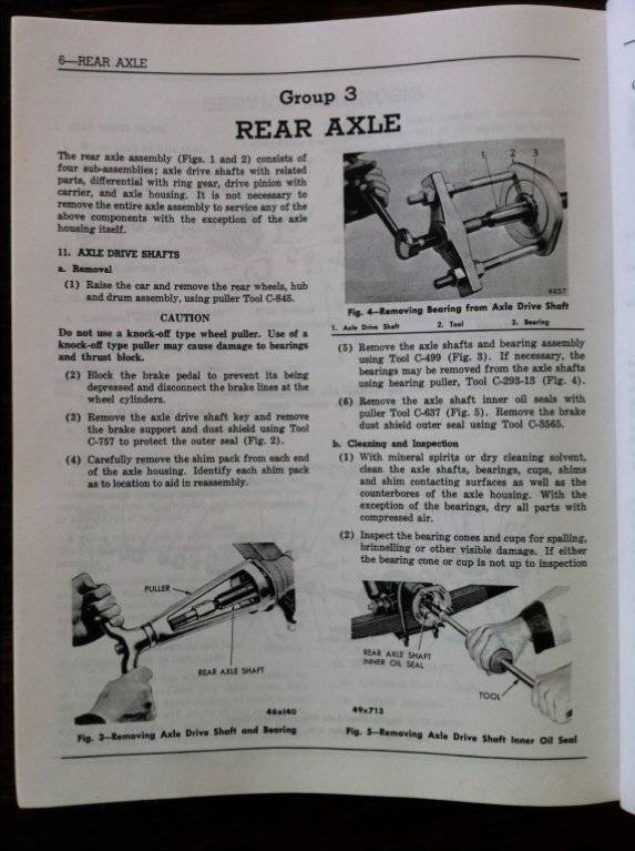 IMG_1540 (Large).JPG