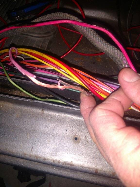 IMG_20181211_130454582 (2).jpg