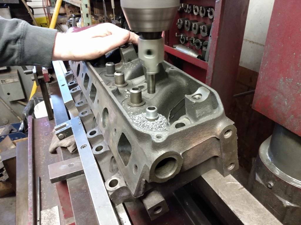 IMG_20200229_144758736 close up cut.jpg