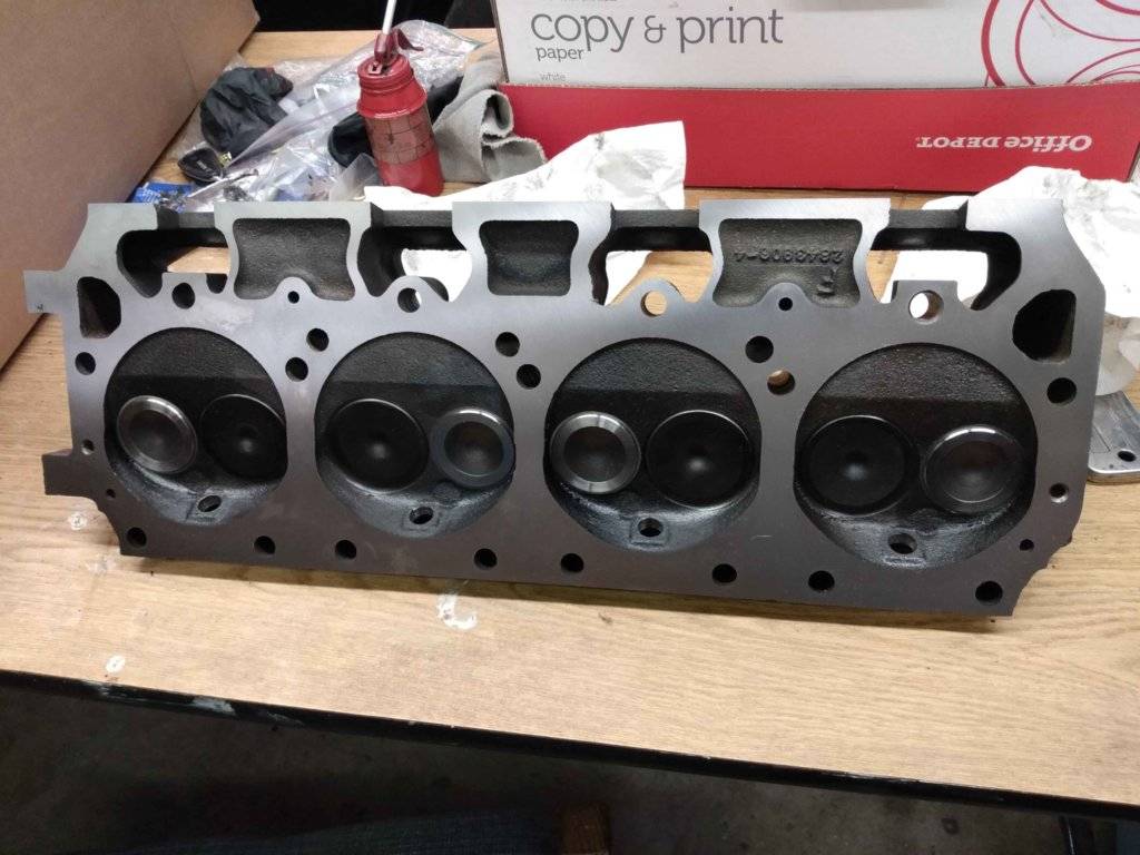 IMG_20200310_111913629 head.jpg