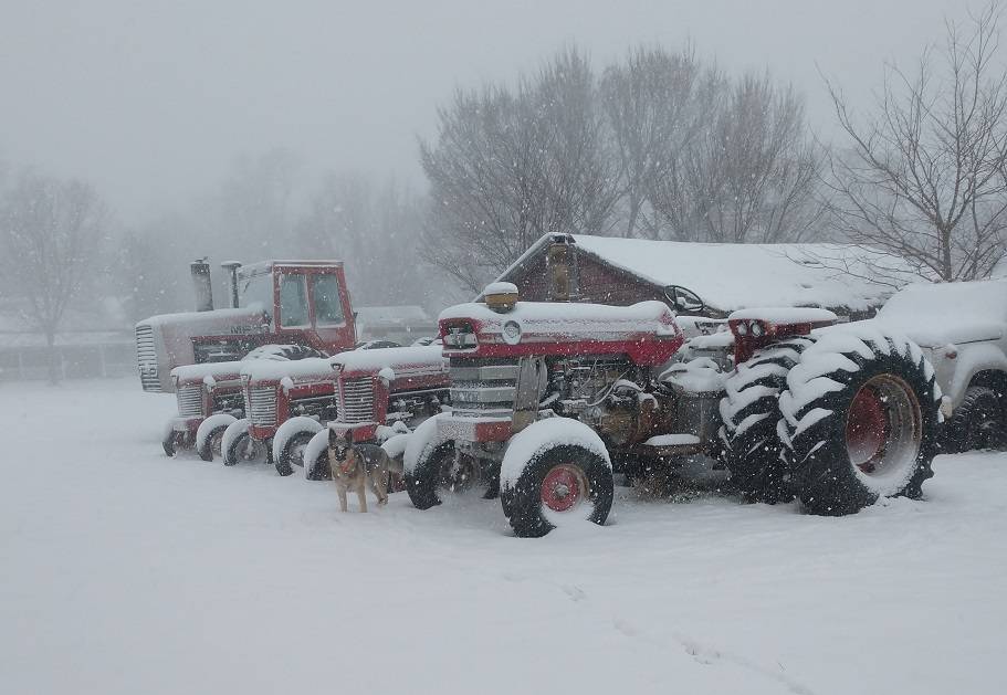 IMG_20200412_112849056 - Copy.jpg