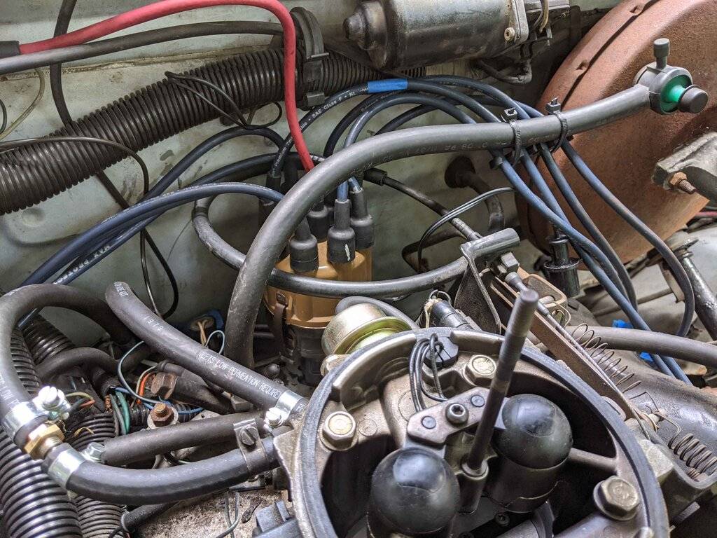 IMG_20200729_110104 stock.jpg