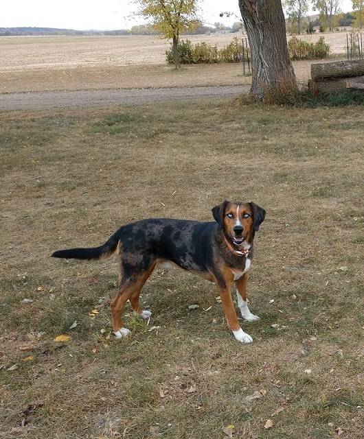 IMG_20201014_153220193 (1).jpg