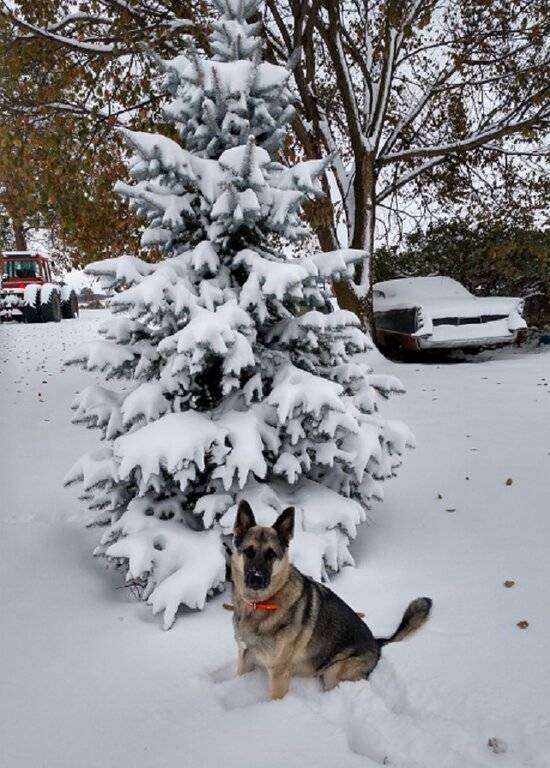 IMG_20201025_163552573_HDR - Copy.jpg