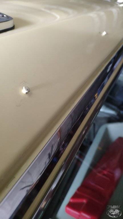 IMG_20220429_172534 [fili1280].jpg