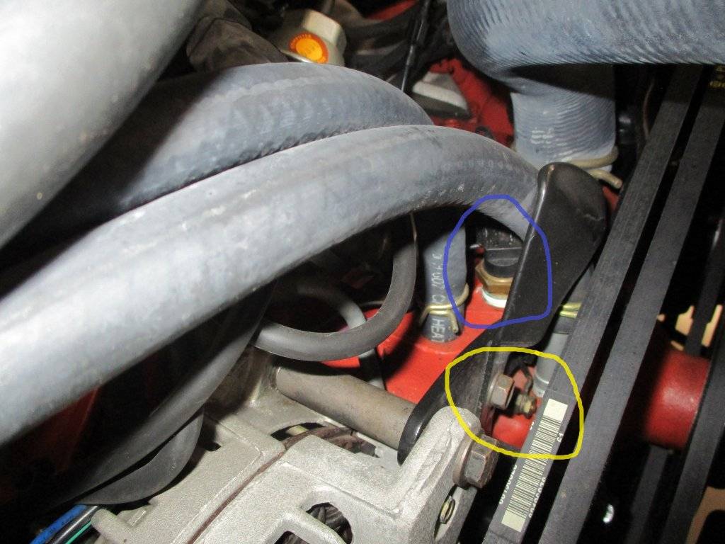 How to install temp gauge while still keeping dummy light? For C