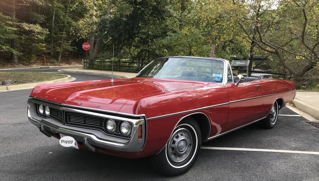 IMG_5007 FCBO_gallery reduced.jpg