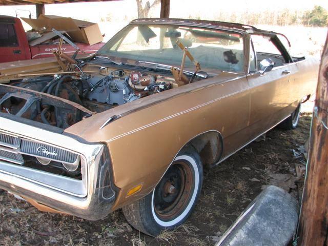 IMG_5106 (Small).JPG