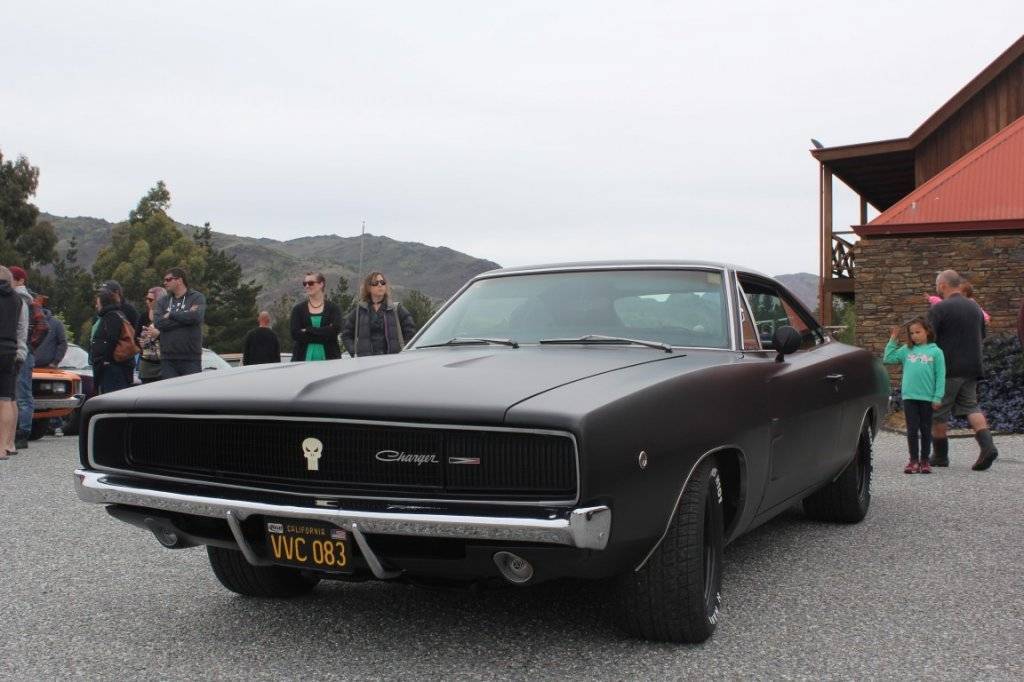 IMG_8679 (Medium).JPG