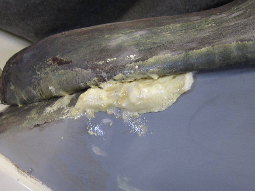 Imp 16.2.2019 002.JPG