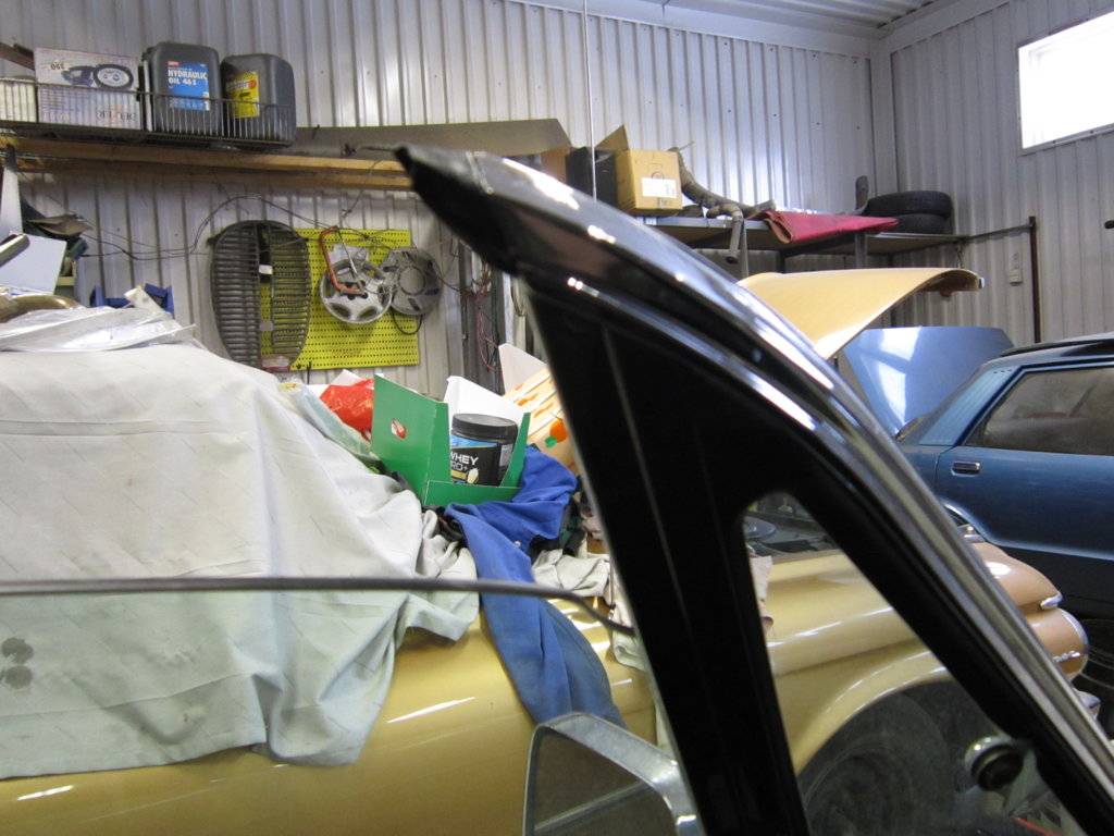 Imp 16.2.2019 020.JPG