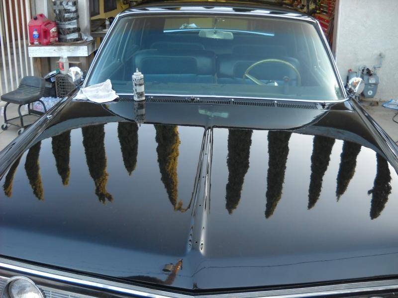 Imperial 10-13 032.jpg