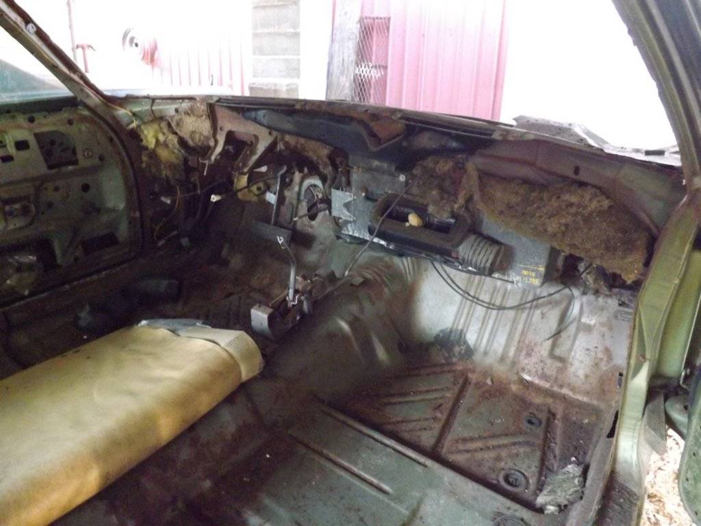 interor stripped1.jpg