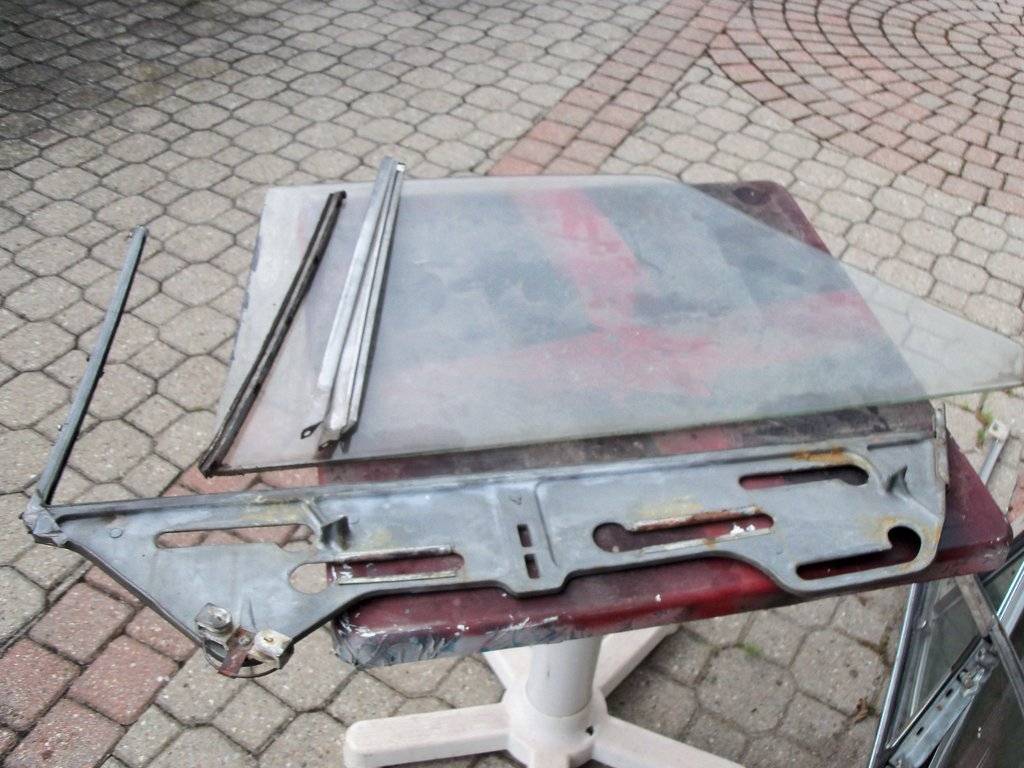 joisey 2017 boab july 032.JPG