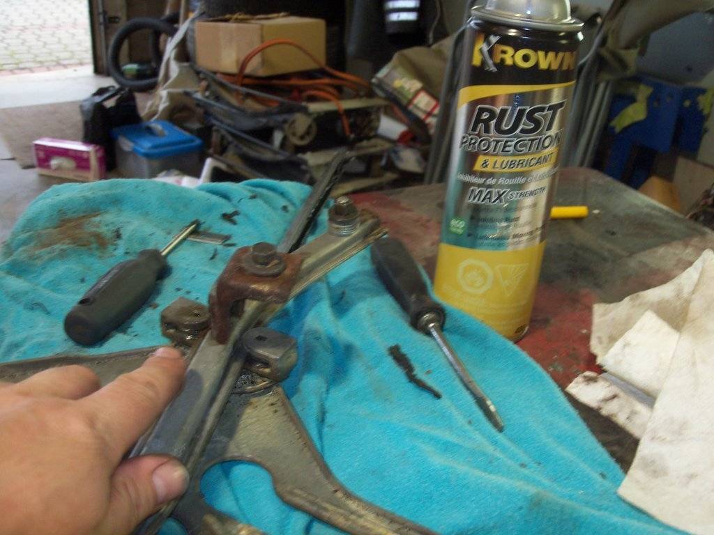 joisey 2017 boab july 037.JPG