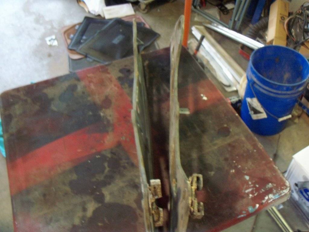 joisey 2017 boab july 038.JPG