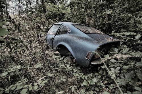 junked-cars-500-41.jpg
