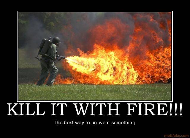 kill-it-with-fire-demotivational-poster-1235695993.jpg