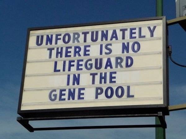 life guard gene pool.jpg