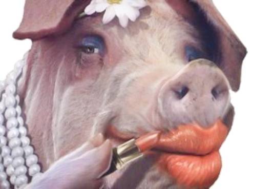 lipstick-on-a-pig-1.jpg