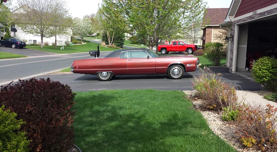 little long shot.jpg