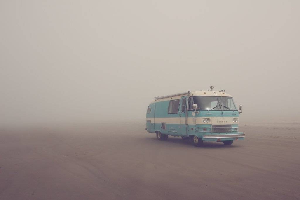 mesmerizing beauty.jpg