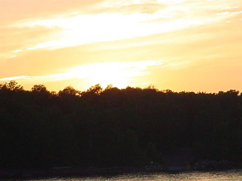 michigan 2011 025 (Large).jpg