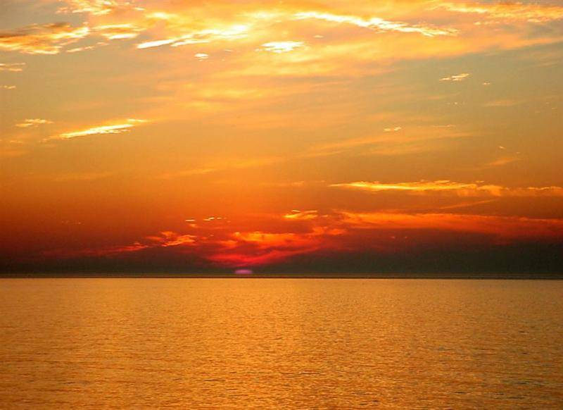 michigan 2011 031 (Large).jpg