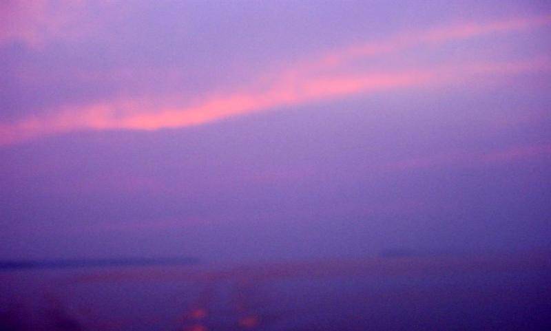 michigan 2011 046 (Large).jpg