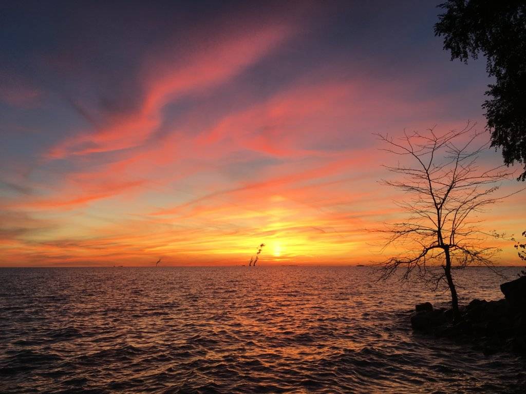 Mike's I-phone Pictures 258.JPG