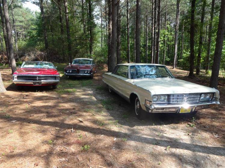 More new friends (Large).jpg