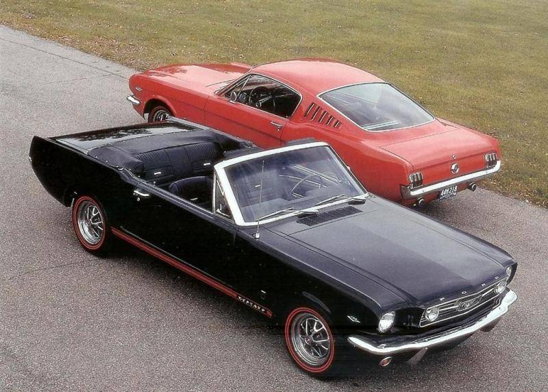 mustangs (Large).jpg