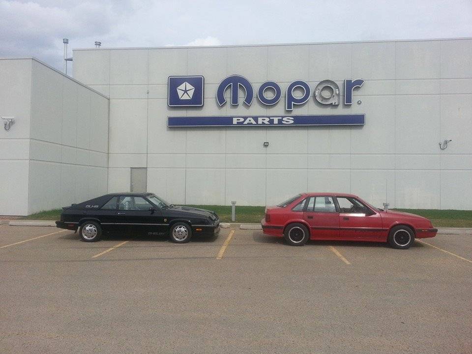 my 2 shelbys at red deer depot.jpg