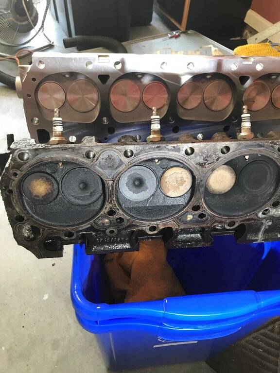 New Old Head Shot 383.jpg