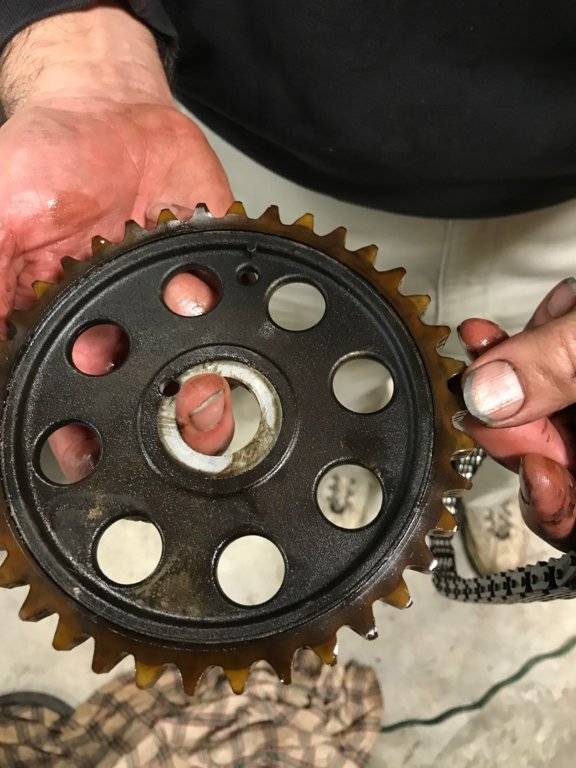 Nylon Timing Gear Closeup.jpg