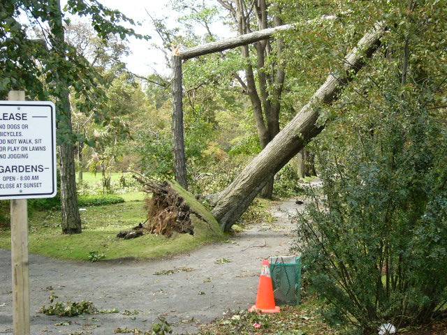 Oct 2003 New York and cruise 218.jpg