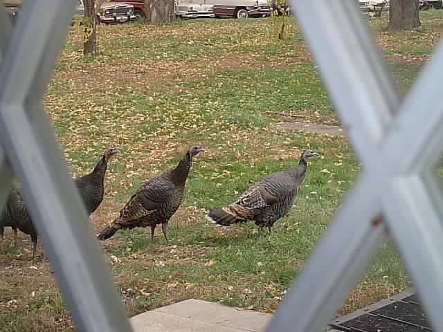 October 2003 (1).JPG