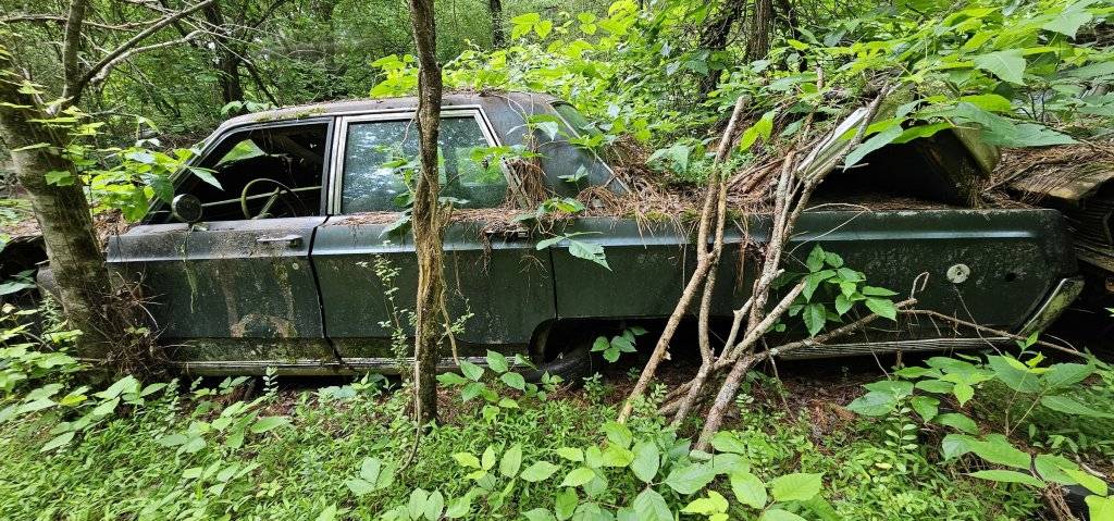 Old Car City USA - 030.jpg