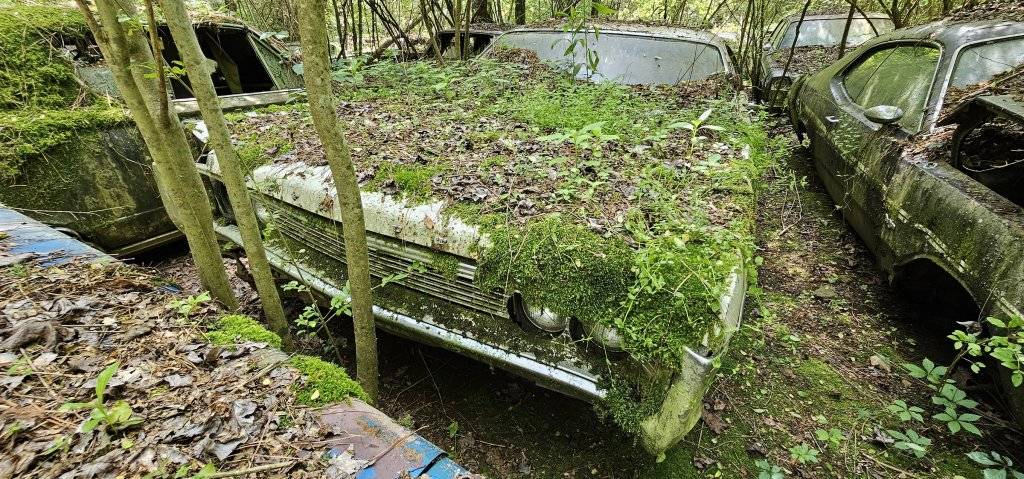 Old Car City USA - 044.jpg