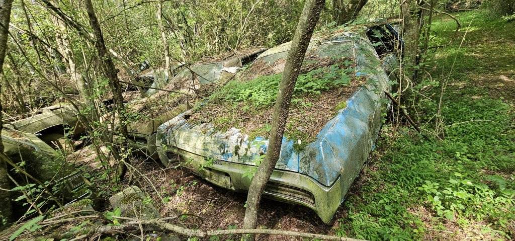 Old Car City USA - 053.jpg