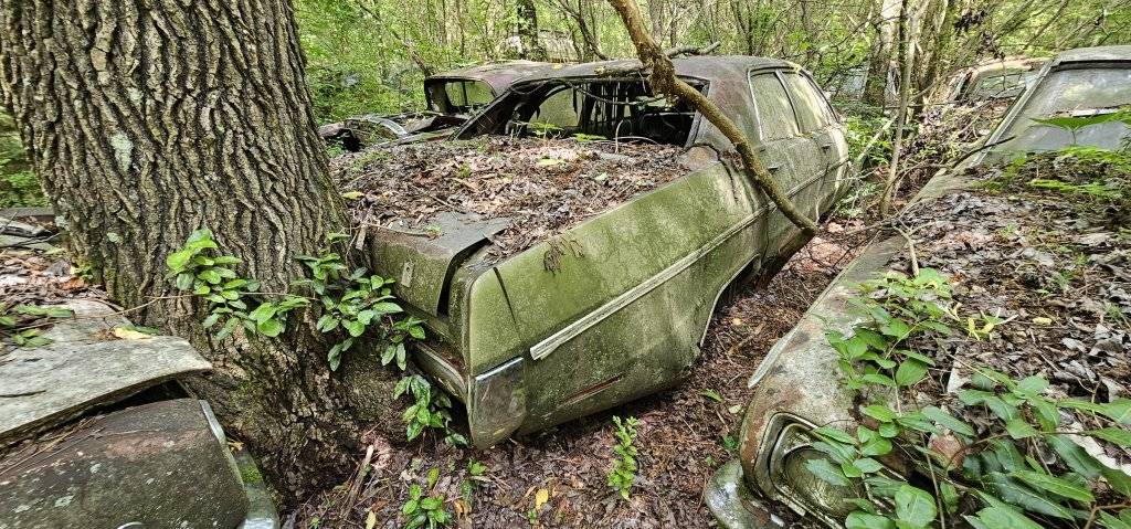 Old Car City USA - 056.jpg