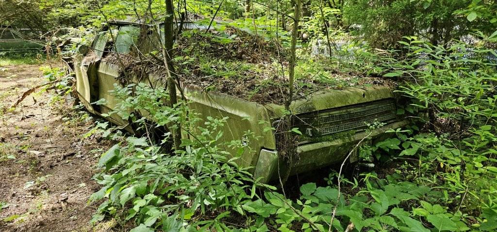 Old Car City USA - 060.jpg