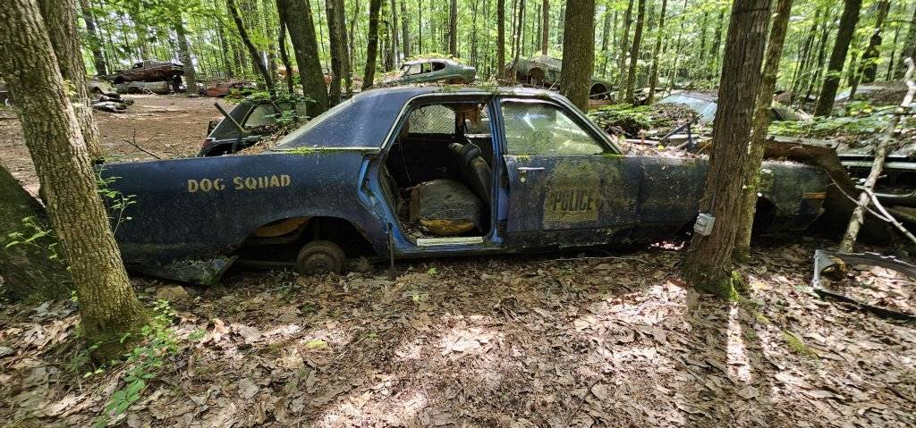 Old Car City USA - 085.jpg