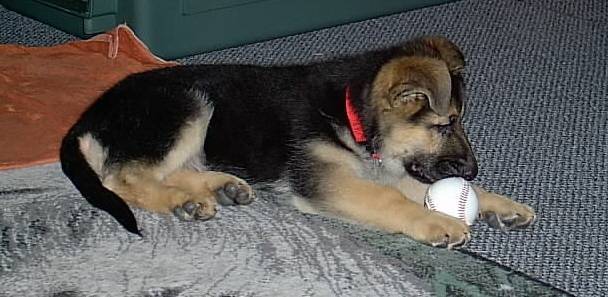 Ozzy Sept 2003 (7).JPG