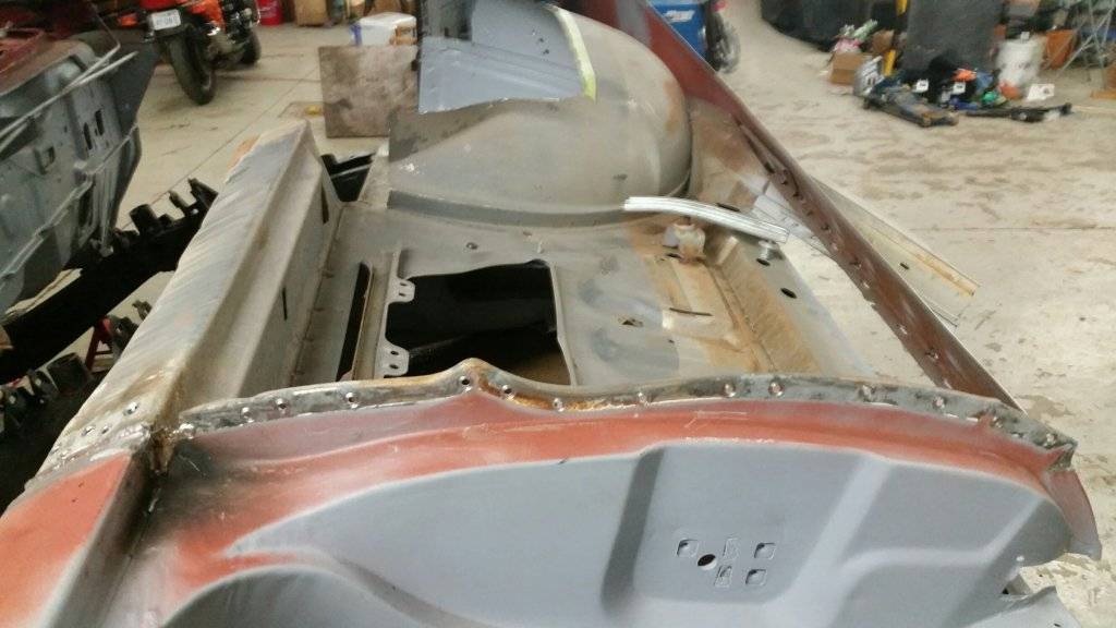 P.S. donor quarter at door opening (skin removed).jpg