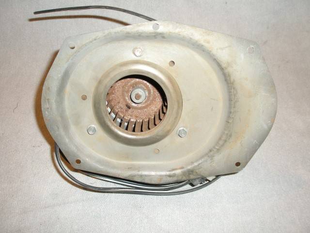 P7250008 (Small).JPG