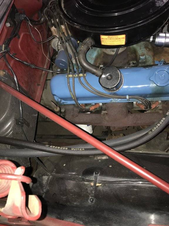 paint overspray Poppy no issue 0618.jpg