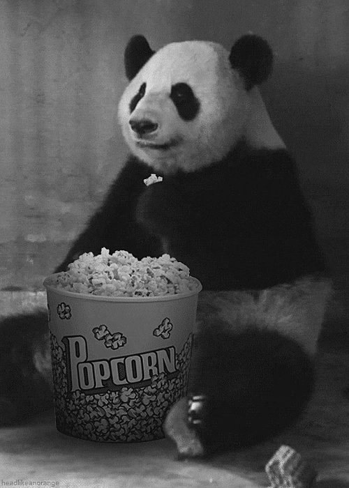 panda popcorn.gif